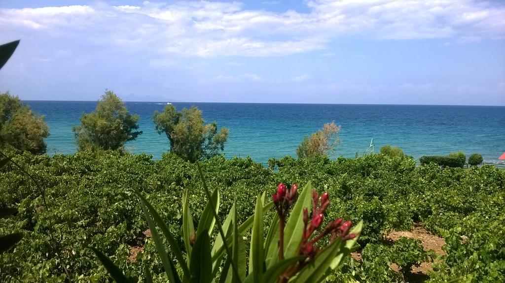 Villa Antonis Deluxe Apartments 阿莫迪 外观 照片